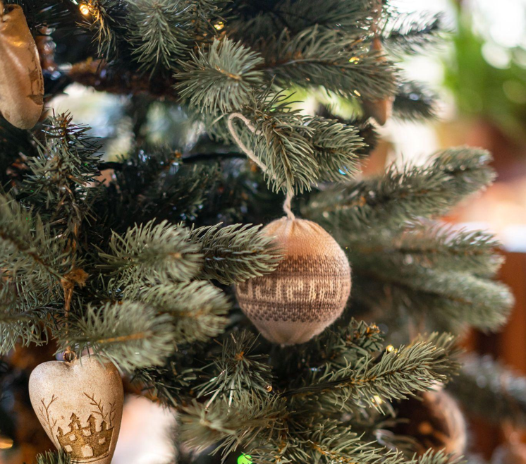 Celebrate the Holidays with a Christmas Tree Sale